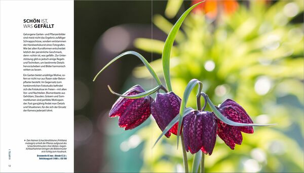 Buch Garten-Shooting - Die Fotoschule, die Bilder zum Blühen bringt 