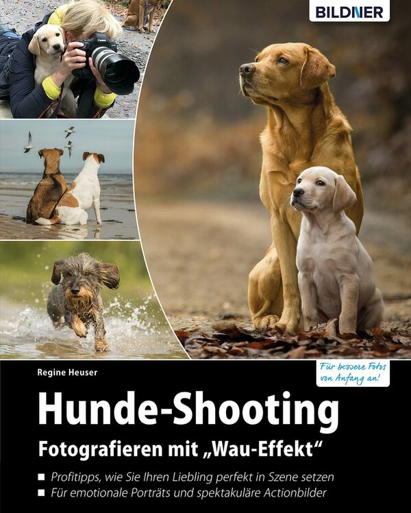 Buch Hunde-Shooting: Fotografieren mit -Wau-Effekt- 