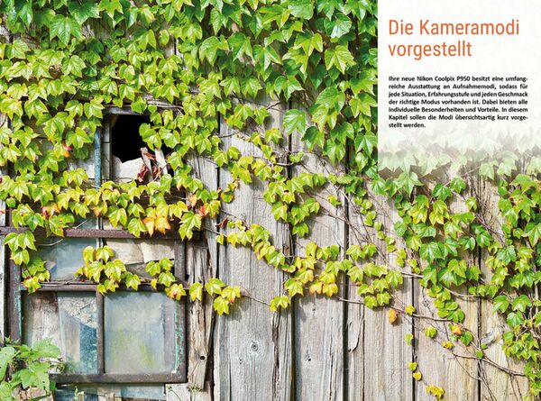 Buch Nikon Coolpix P950 