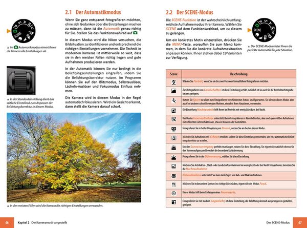 Buch Nikon Coolpix P950 