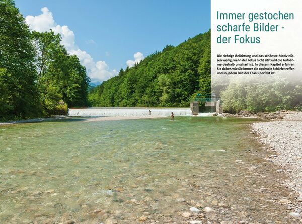 Buch Nikon Coolpix P950 