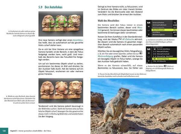 Buch Nikon Coolpix P950 