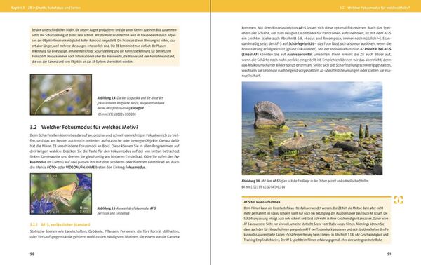 Buch Nikon Z8 von Kyra Sänger 