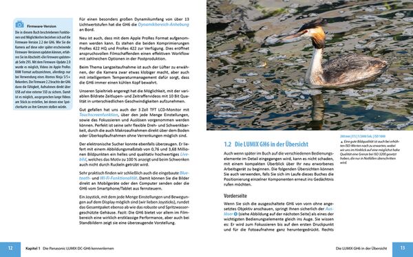 Buch Panasonic LUMIX DC-GH6 