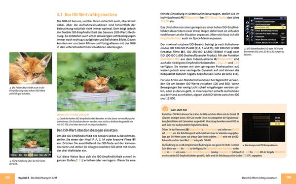 Buch Panasonic LUMIX DC-GH6 