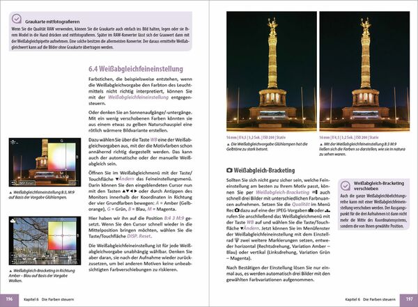 Buch Panasonic Lumix DC-LX100 II - Für bessere Fotos von Anfang an! 