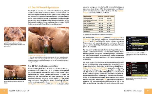 Buch Panasonic LUMIX DC-S5II / DC-S5II X 