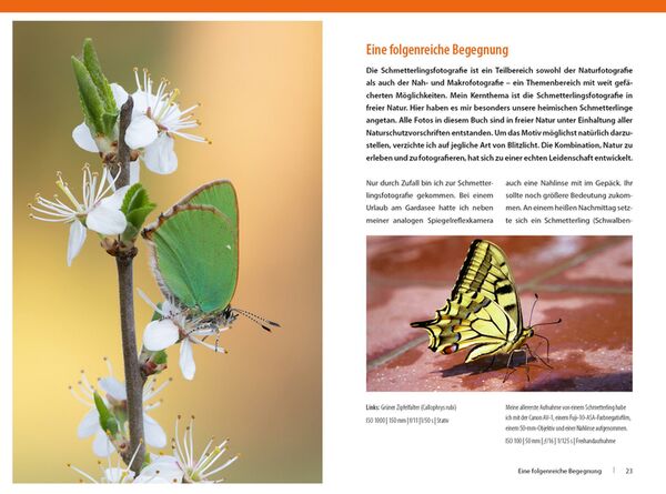 Buch Schmetterlinge - so gelingen faszinierende Fotos 