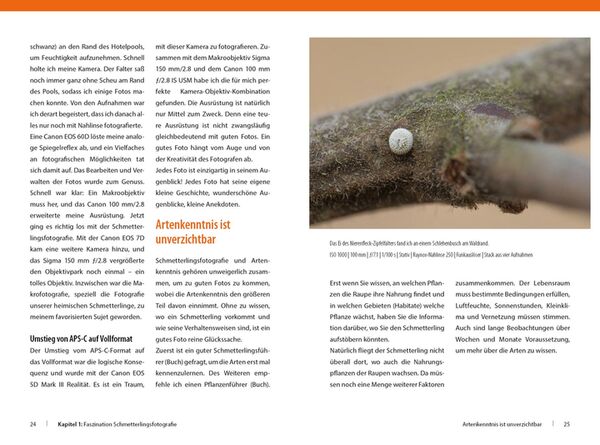 Buch Schmetterlinge - so gelingen faszinierende Fotos 