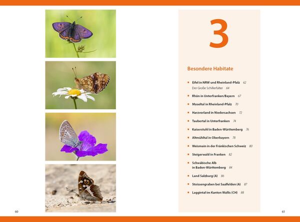 Buch Schmetterlinge - so gelingen faszinierende Fotos 