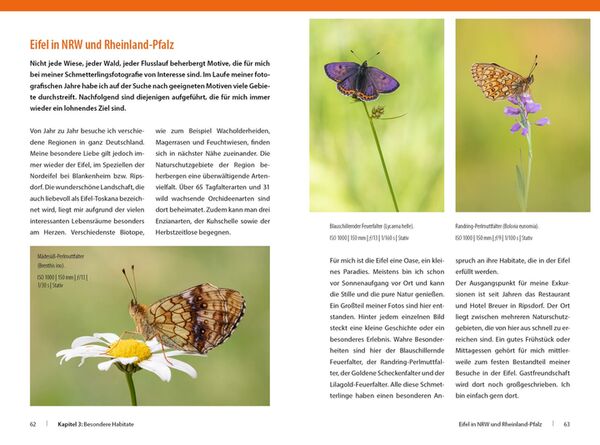 Buch Schmetterlinge - so gelingen faszinierende Fotos 