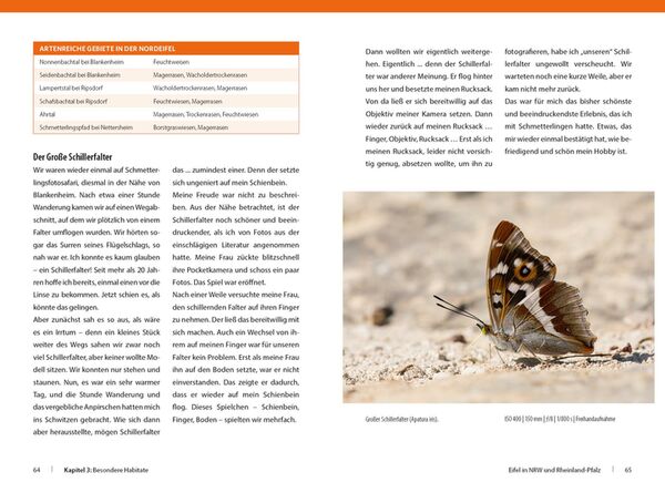 Buch Schmetterlinge - so gelingen faszinierende Fotos 