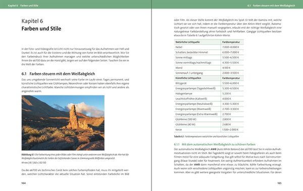 Buch Sony Alpha 6700 von Kyra Sänger 