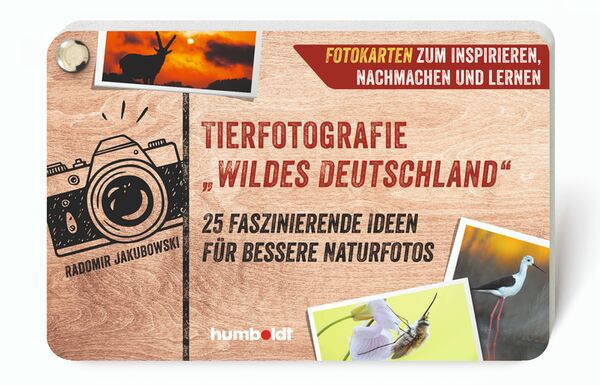 Buch Tierfotografie 