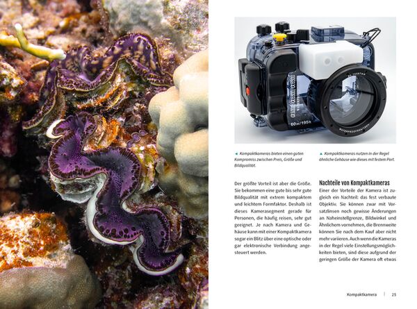 Buch Unterwasser - Die Fotoschule mit Tiefgang 