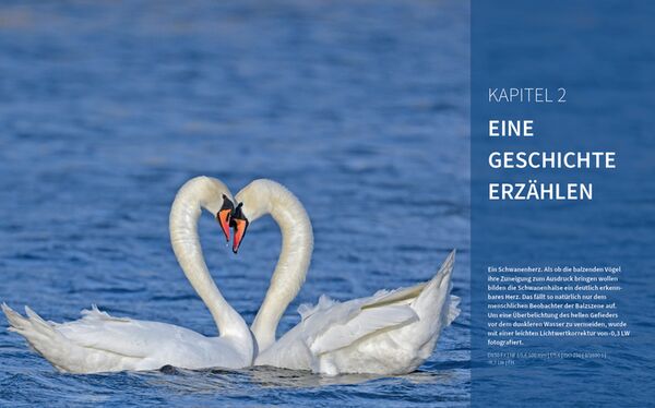 Buch Vögel fotografieren - Fantastische Fotos federleicht 