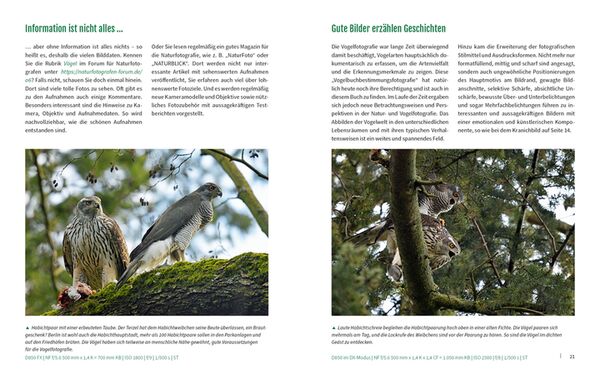 Buch Vögel fotografieren - Fantastische Fotos federleicht 