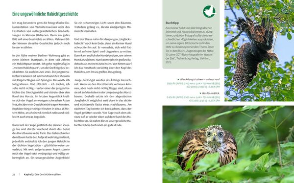 Buch Vögel fotografieren - Fantastische Fotos federleicht 