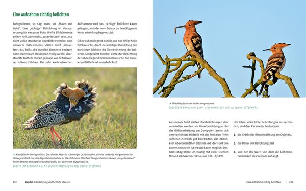 Buch Vögel fotografieren - Fantastische Fotos federleicht 