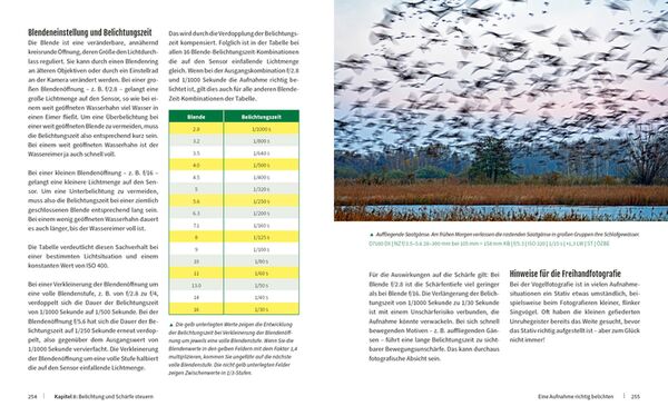 Buch Vögel fotografieren - Fantastische Fotos federleicht 