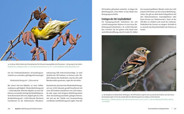 Buch Vögel fotografieren - Fantastische Fotos federleicht 