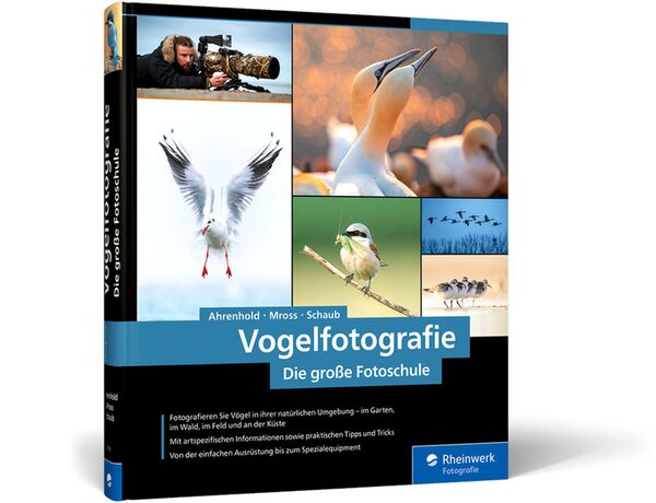 Buch Vogelfotografie von Alexander Ahrenhold 
