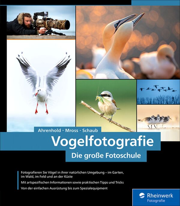 Buch Vogelfotografie von Alexander Ahrenhold 