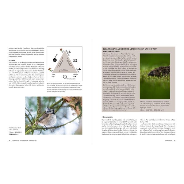 Buch Wildtiere fotografieren von Anskar Lenzen, Lea Milde 