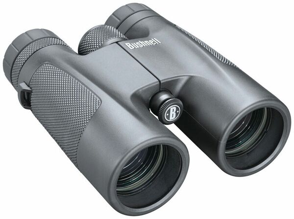 Bushnell Powerview 10x42 Black 