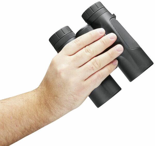 Bushnell Powerview 10x42 Black 