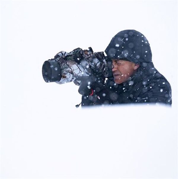 Buteo Photo Gear Rain Cover  1 schnee