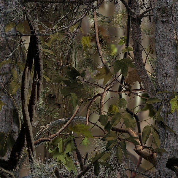 Buteo Photo Gear Regenschutz für Falco Mark IV  Grün