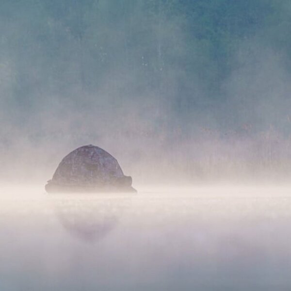 Buteo Photo Gear Swimmversteck Grebe II 