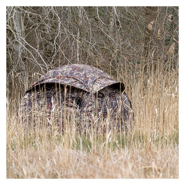 Buteo Photo Gear Tarnzelt Aquila Mark  III schilf