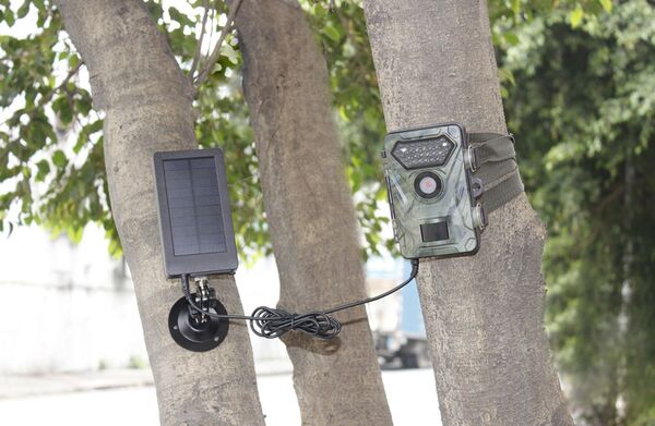 Camouflage Solar Panel für Wildkamera 