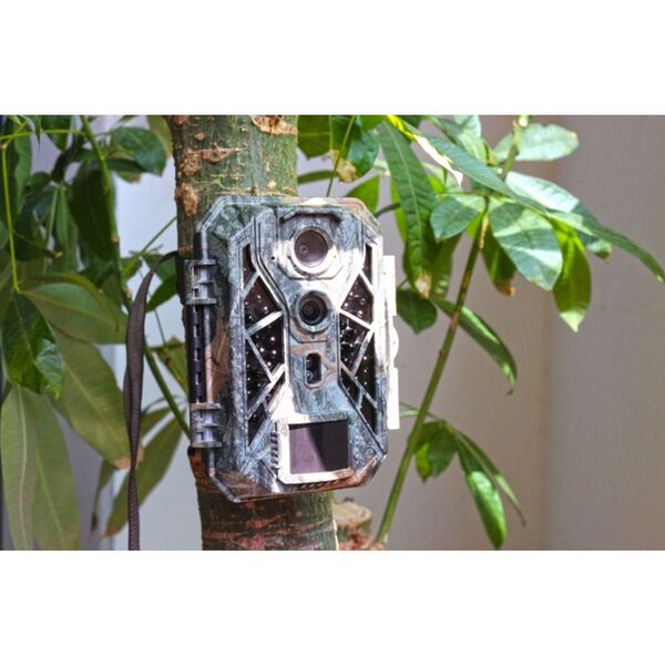 Camouflage Wildkamera EZ2  Elite