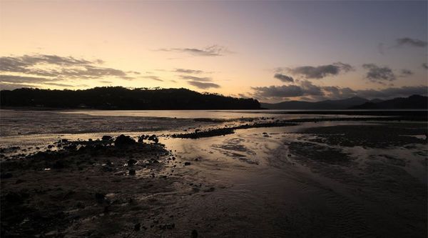 Canon EF 16-35mm f/2,8 L III USM  Canon EF