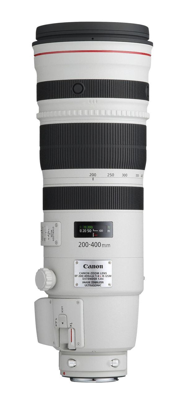Canon EF 200-400mm f/4,0 L IS USM + Extender  Canon EF