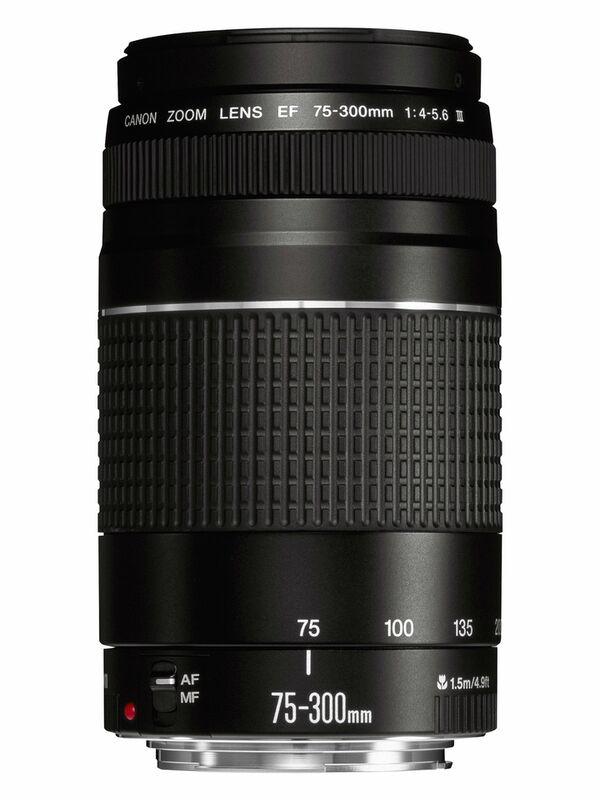 Canon EF 4-5,6/75-300 mm III  Canon EF