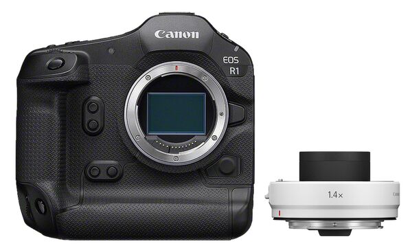 Canon EOS R1 + RF 1,4x Extender 