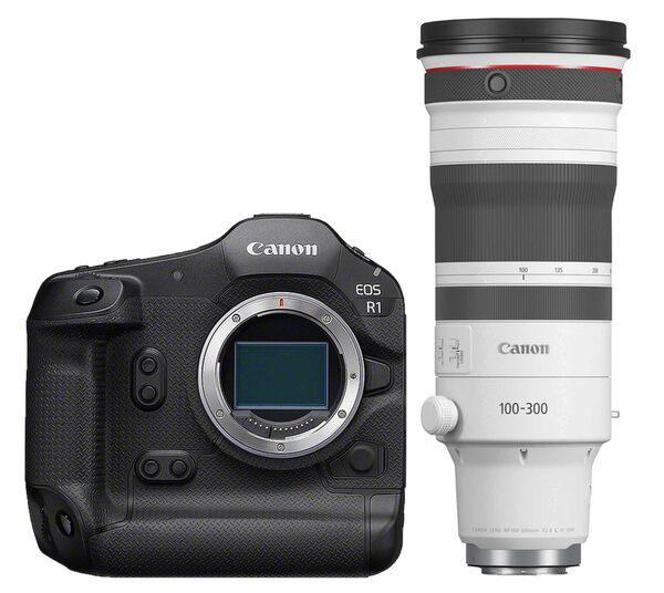 Canon EOS R1 + RF 100-300mm f/2.8 L IS USM 