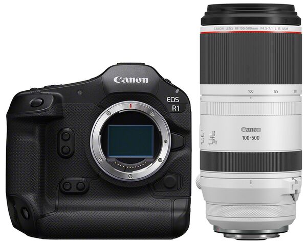 Canon EOS R1 + RF 100-500mm f/4.5-7.1 L IS USM 