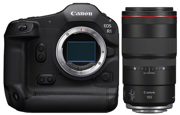 Canon EOS R1 + RF 100mm f/2,8 L MACRO IS USM 