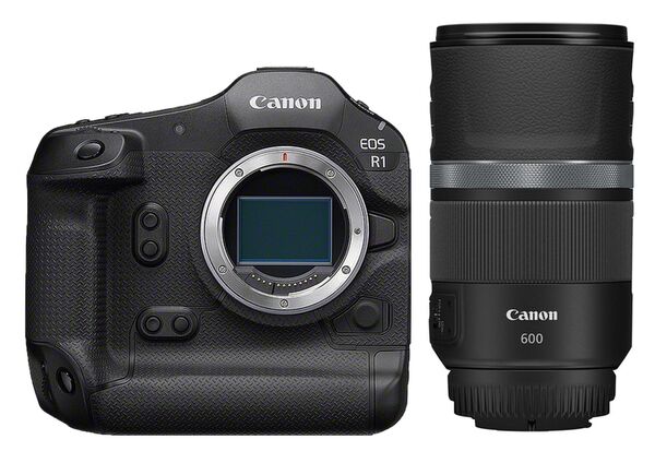 Canon EOS R1 + RF 600mm f/11 IS STM 