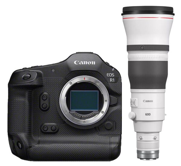 Canon EOS R1 + RF 600mm f/4 L IS USM 