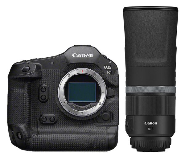 Canon EOS R1 + RF 800mm f/11 IS STM 