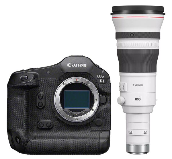 Canon EOS R1 + RF 800mm f/5,6 L IS USM 