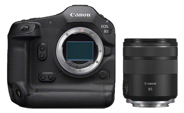 Canon EOS R1 + RF 85mm f/2 MACRO IS STM 