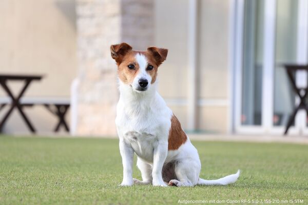 Canon EOS R100 + RF-S 18-45 mm IS STM + 5,0-7,1/55-210 mm IS STM 