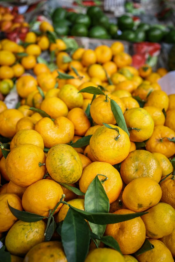 Canon EOS R5 C Gehäuse 